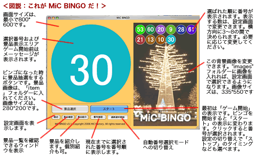 bingo_info.gif